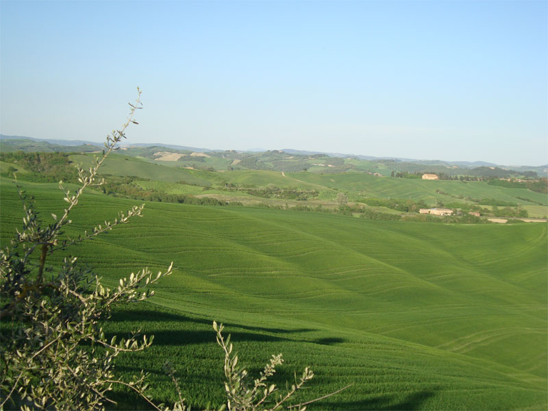 gal/2010/08 - Primavera_Estate_2010/ville_petroni1-01.jpg